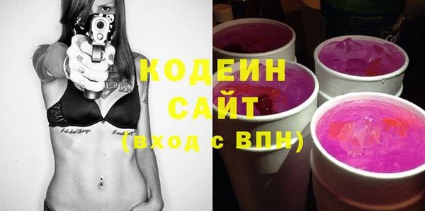 спайс Няндома