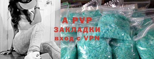 спайс Няндома