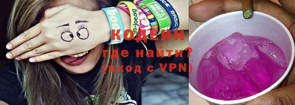 спайс Няндома