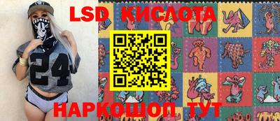 гидра Будённовск