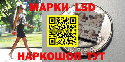 гидра Будённовск