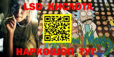 гидра Будённовск