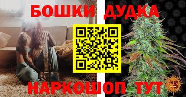 гидра Будённовск