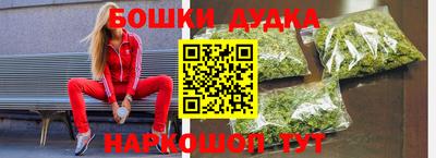 гидра Будённовск