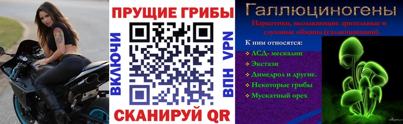 купить наркотики цена Кировск Галлюциногенные грибы мухоморы