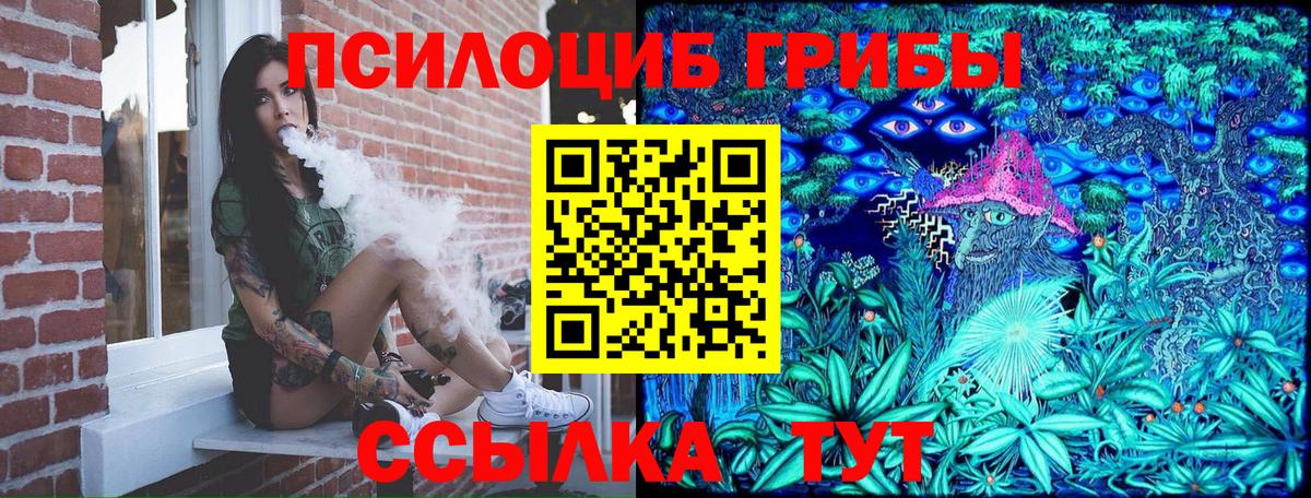 цена наркотик  Кировск  Галлюциногенные грибы Magic Shrooms 