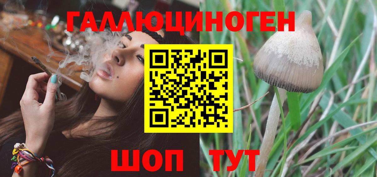 Кировск  Галлюциногенные грибы Magic Shrooms  Вход с VPN 